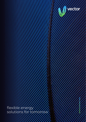 Thumbnail Vector Limited
 Half-year Report 2020-h1