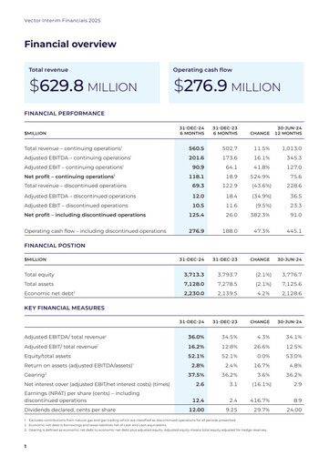 Thumbnail Vector Limited
 Half-year Report 2025-h1