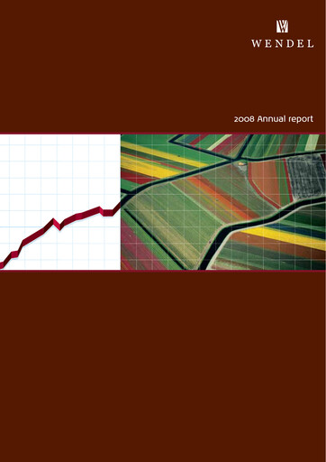 Thumbnail Wendel Annual Report 2008