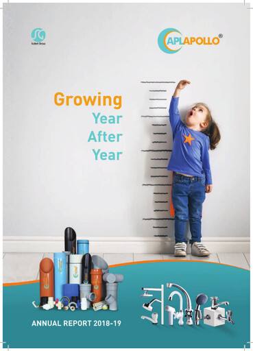 Miniature Apollo Pipes Rapport annuel 2018-2019