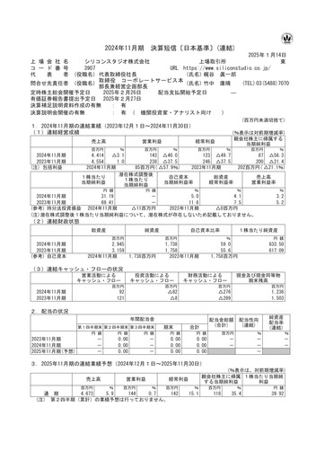 Thumbnail Silicon Studio Financial Statement fy2024