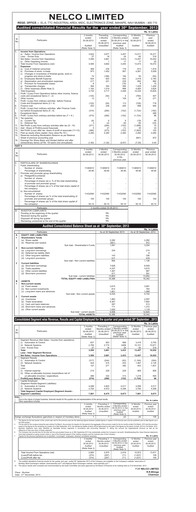Thumbnail Nelco Quarterly Report 2013-q4