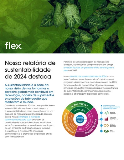 Thumbnail Flex Sustainability Report 2024