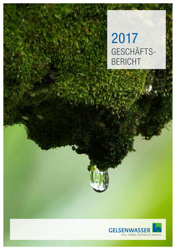 Thumbnail Gelsenwasser Annual Report 2017