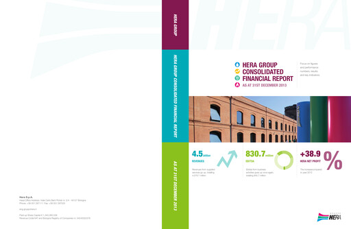 Thumbnail Hera Group Financial Statement 2013