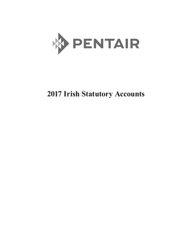 Thumbnail Pentair
 Financial Statement 2017