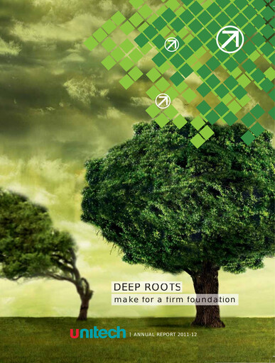 Miniature Unitech Group
 Rapport annuel 2011-2012