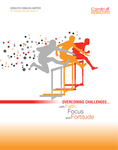 Miniature Kokuyo Camlin
 Rapport annuel 2016-2017