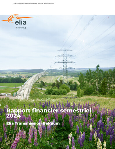 Thumbnail Elia Group Half-year Report 2024-h1