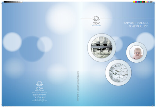 Thumbnail DBV Technologies Half-year Report 2013-h1