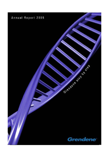 Thumbnail Grendene Annual Report 2005