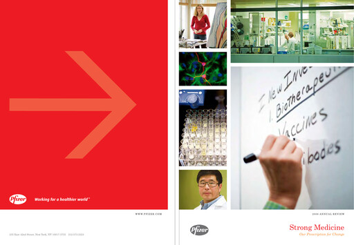 Vorschaubild Pfizer Jahresbericht 2006