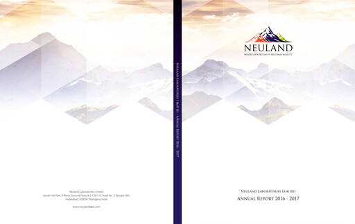 Vorschaubild Neuland Laboratories Jahresbericht 2016-2017