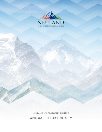 Vorschaubild Neuland Laboratories Jahresbericht 2018-2019