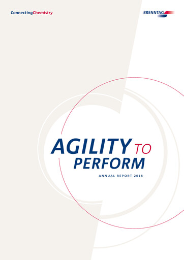 Thumbnail Brenntag Annual Report 2018