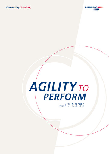 Thumbnail Brenntag Financial Statement 2019-h1