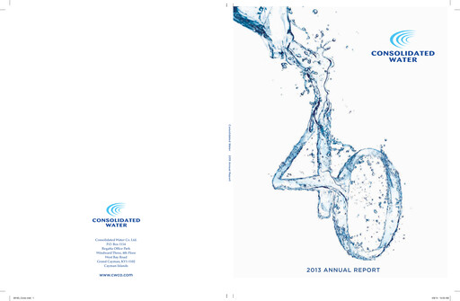 Miniature Consolidated Water Rapport annuel 2013