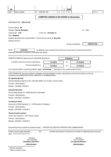 Thumbnail Solvay Financial Statement 2013