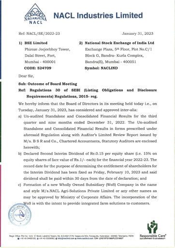 Thumbnail NACL Industries
 Quarterly Report 2022-q3