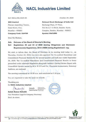 Thumbnail NACL Industries
 Quarterly Report 2024-q2