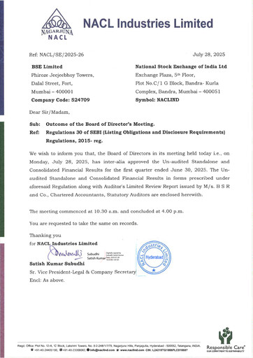 Thumbnail NACL Industries
 Quarterly Report 2025-q1