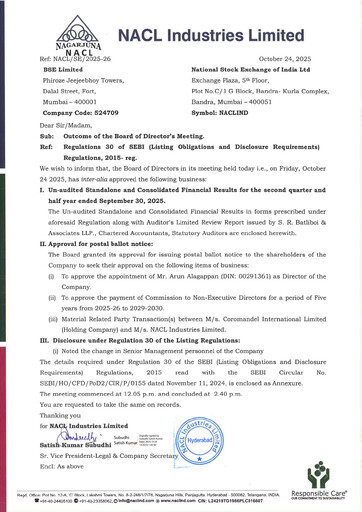 Thumbnail NACL Industries
 Quarterly Report 2025-q2