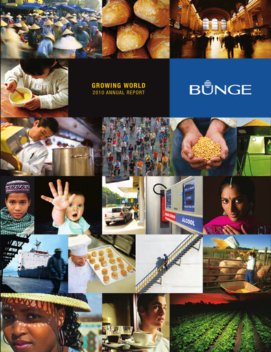 Thumbnail Bunge Global SA Annual Report 2010