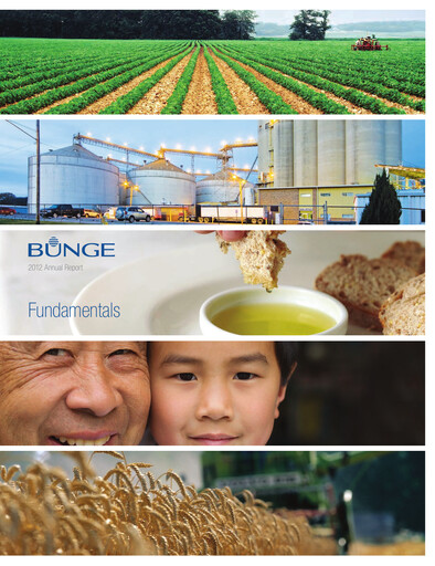 Thumbnail Bunge Global SA Annual Report 2012
