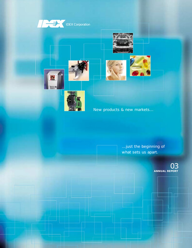 Thumbnail IDEX Annual Report 2003