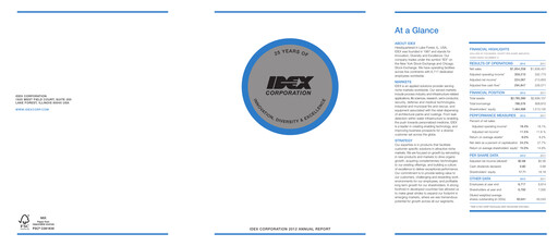 Thumbnail IDEX Annual Report 2012