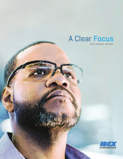 Thumbnail IDEX Annual Report 2013