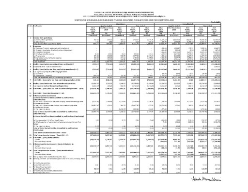 Thumbnail Hinduja Ventures Financial Statement 2019-2020