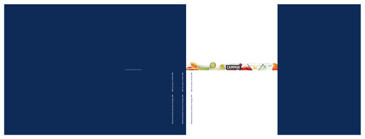 Thumbnail Davide Campari-Milano Half-year Report 2008-h1