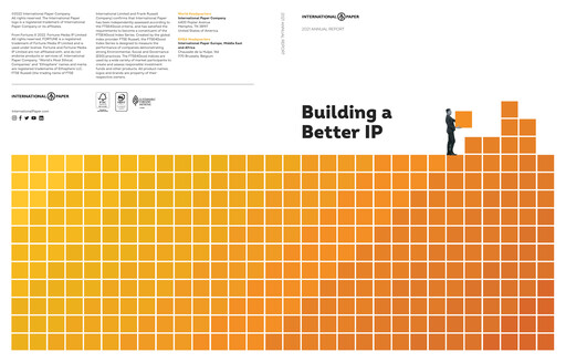 Thumbnail International Paper
 Annual Report 2021