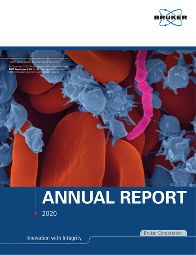 Thumbnail Bruker Annual Report 2020
