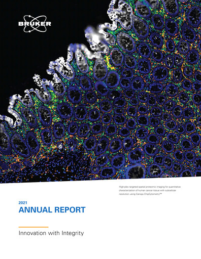 Thumbnail Bruker Annual Report 2021