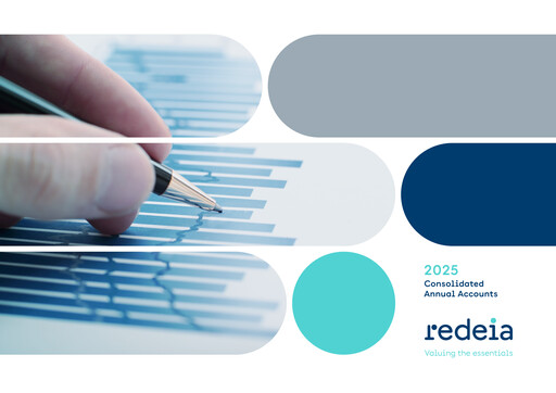Thumbnail Red Eléctrica Financial Statement 2025