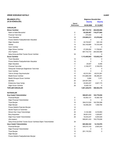 Thumbnail GÜBRETAŞ Half-year Report 2008-h1
