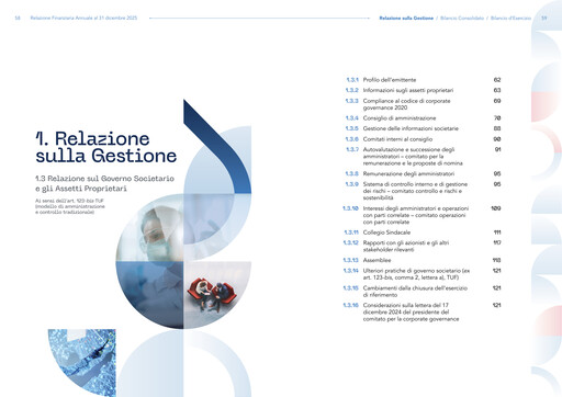 Thumbnail DiaSorin Financial Report 2025