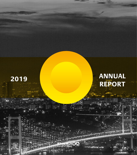 Thumbnail Enerjisa Enerji
 Annual Report 2019