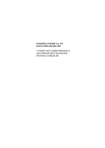 Thumbnail Enerjisa Enerji
 Financial Statement 2022-q1