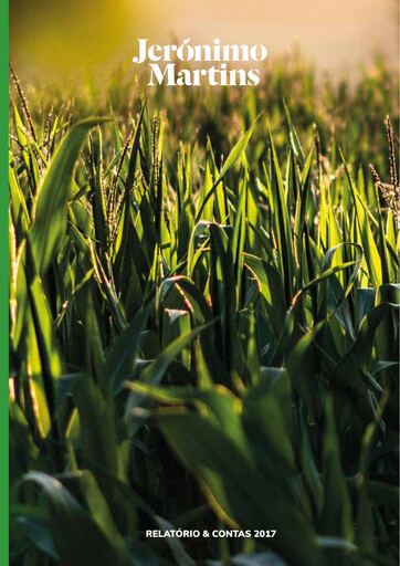 Thumbnail Jerónimo Martins
 Annual Report 2017