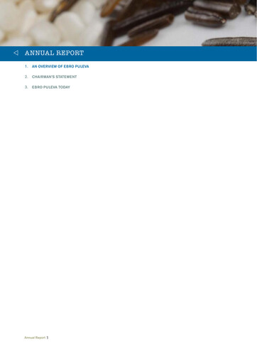 Thumbnail Ebro Foods
 Annual Report 2008