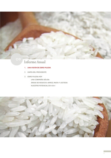 Thumbnail Ebro Foods
 Annual Report 2009