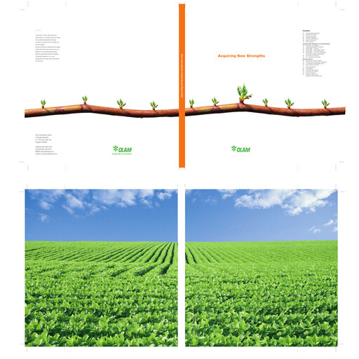 Thumbnail Olam Annual Report 2007