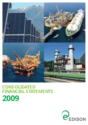 Thumbnail Edison Financial Statement 2009