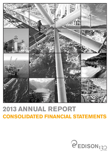 Thumbnail Edison Financial Statement 2013