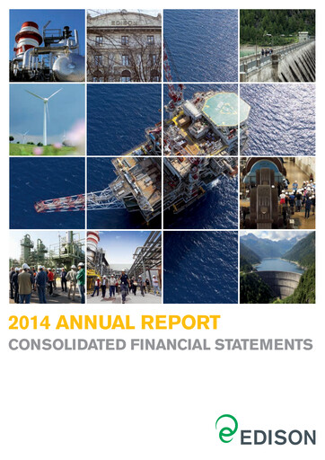 Thumbnail Edison Financial Statement 2014