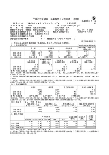 Thumbnail NJ Holdings Financial Statement fy2018