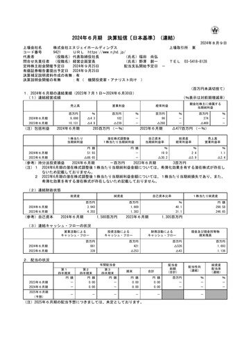 Thumbnail NJ Holdings Financial Statement fy2024